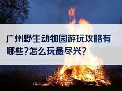 广州野生动物园游玩攻略有哪些？怎么玩最尽兴？
