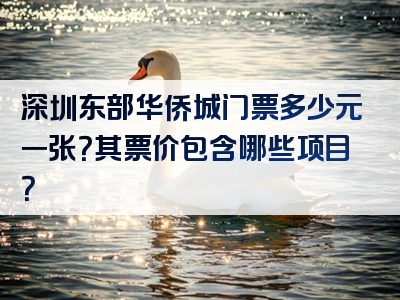 深圳东部华侨城门票多少元一张？其票价包含哪些项目？