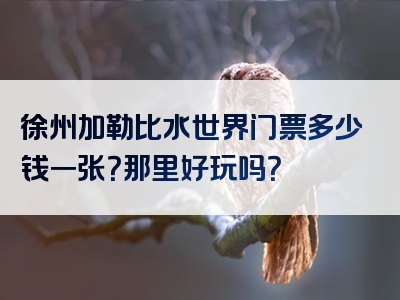 徐州加勒比水世界门票多少钱一张？那里好玩吗？