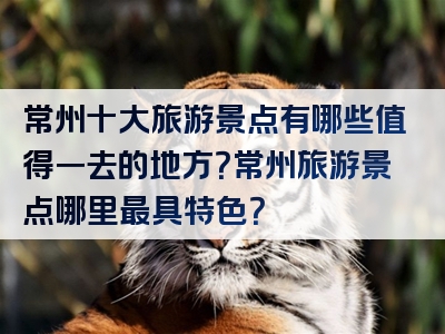 常州十大旅游景点有哪些值得一去的地方？常州旅游景点哪里最具特色？