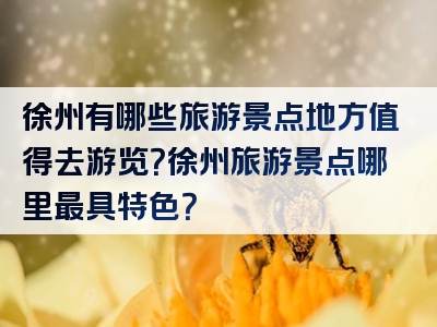 徐州有哪些旅游景点地方值得去游览？徐州旅游景点哪里最具特色？