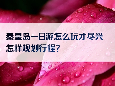秦皇岛一日游怎么玩才尽兴怎样规划行程？