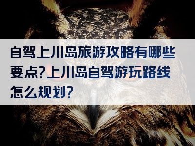 自驾上川岛旅游攻略有哪些要点？上川岛自驾游玩路线怎么规划？