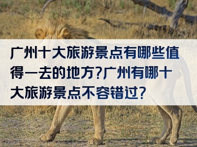 广州十大旅游景点有哪些值得一去的地方？广州有哪十大旅游景点不容错过？