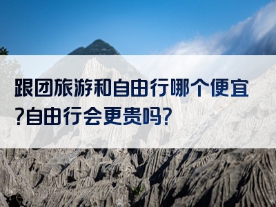 跟团旅游和自由行哪个便宜？自由行会更贵吗？