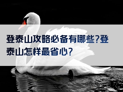 登泰山攻略必备有哪些？登泰山怎样最省心？