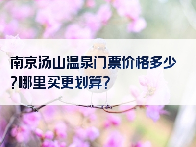 南京汤山温泉门票价格多少？哪里买更划算？