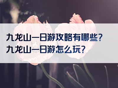 九龙山一日游攻略有哪些？九龙山一日游怎么玩？