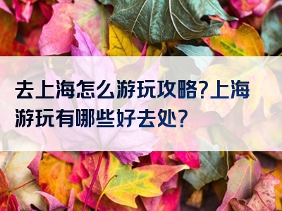 去上海怎么游玩攻略？上海游玩有哪些好去处？