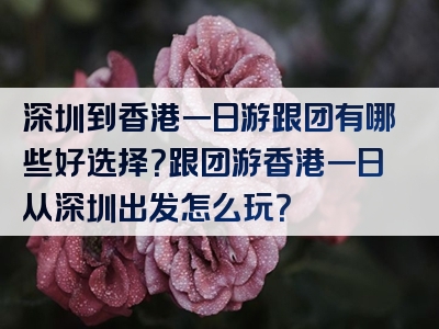 深圳到香港一日游跟团有哪些好选择？跟团游香港一日从深圳出发怎么玩？