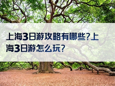 上海3日游攻略有哪些？上海3日游怎么玩？