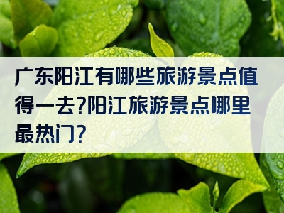 广东阳江有哪些旅游景点值得一去？阳江旅游景点哪里最热门？
