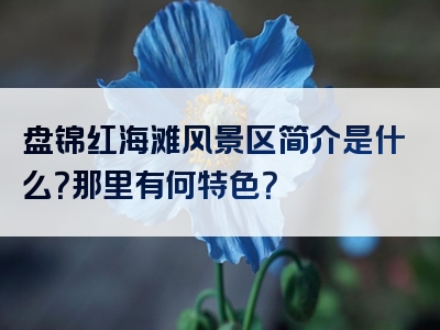 盘锦红海滩风景区简介是什么？那里有何特色？
