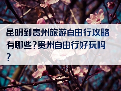 昆明到贵州旅游自由行攻略有哪些？贵州自由行好玩吗？
