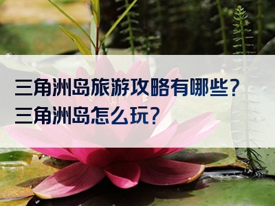 三角洲岛旅游攻略有哪些？三角洲岛怎么玩？