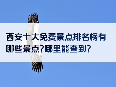 西安十大免费景点排名榜有哪些景点？哪里能查到？