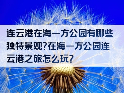 连云港在海一方公园有哪些独特景观？在海一方公园连云港之旅怎么玩？
