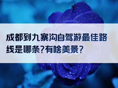 成都到九寨沟自驾游最佳路线是哪条？有啥美景？