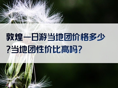敦煌一日游当地团价格多少？当地团性价比高吗？