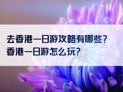 去香港一日游攻略有哪些？香港一日游怎么玩？