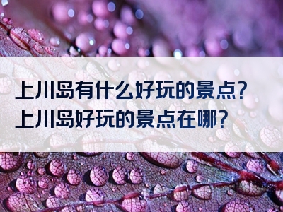 上川岛有什么好玩的景点？上川岛好玩的景点在哪？