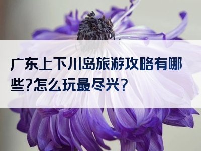 广东上下川岛旅游攻略有哪些？怎么玩最尽兴？