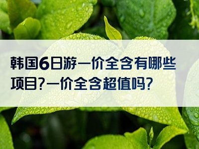 韩国6日游一价全含有哪些项目？一价全含超值吗？