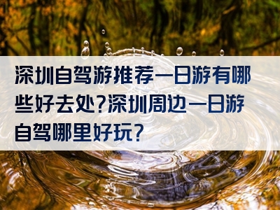 深圳自驾游推荐一日游有哪些好去处？深圳周边一日游自驾哪里好玩？