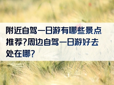 附近自驾一日游有哪些景点推荐？周边自驾一日游好去处在哪？