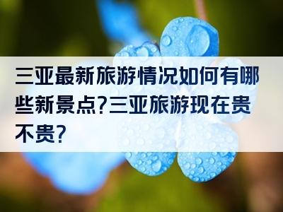 三亚最新旅游情况如何有哪些新景点？三亚旅游现在贵不贵？