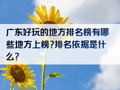 广东好玩的地方排名榜有哪些地方上榜？排名依据是什么？