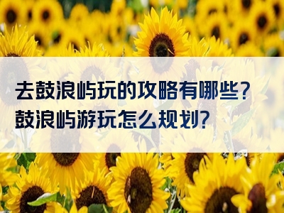 去鼓浪屿玩的攻略有哪些？鼓浪屿游玩怎么规划？