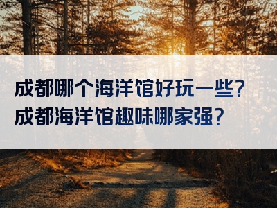 成都哪个海洋馆好玩一些？成都海洋馆趣味哪家强？