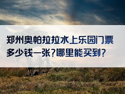 郑州奥帕拉拉水上乐园门票多少钱一张？哪里能买到？
