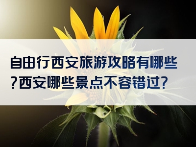 自由行西安旅游攻略有哪些？西安哪些景点不容错过？