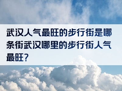 武汉人气最旺的步行街是哪条街武汉哪里的步行街人气最旺？