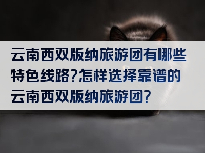 云南西双版纳旅游团有哪些特色线路？怎样选择靠谱的云南西双版纳旅游团？