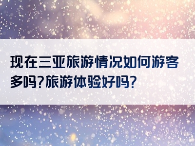 现在三亚旅游情况如何游客多吗？旅游体验好吗？