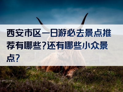 西安市区一日游必去景点推荐有哪些？还有哪些小众景点？