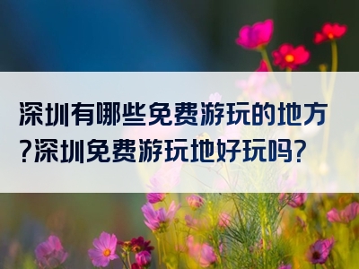 深圳有哪些免费游玩的地方？深圳免费游玩地好玩吗？
