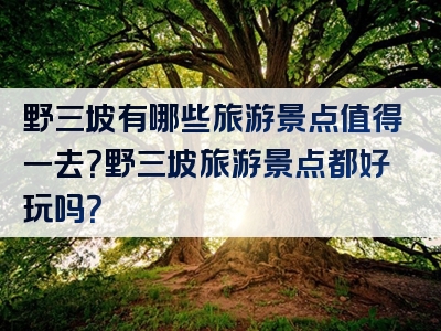 野三坡有哪些旅游景点值得一去？野三坡旅游景点都好玩吗？