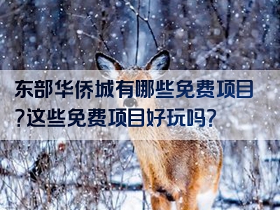 东部华侨城有哪些免费项目？这些免费项目好玩吗？