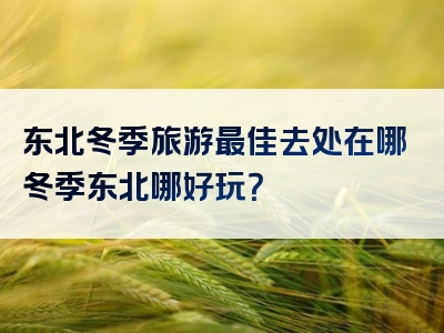 东北冬季旅游最佳去处在哪冬季东北哪好玩？