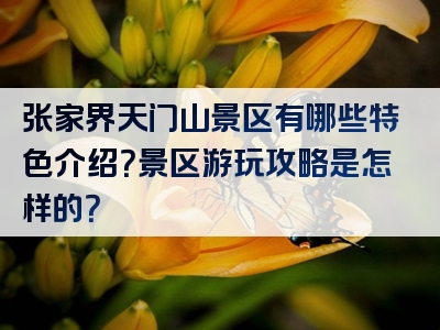 张家界天门山景区有哪些特色介绍？景区游玩攻略是怎样的？