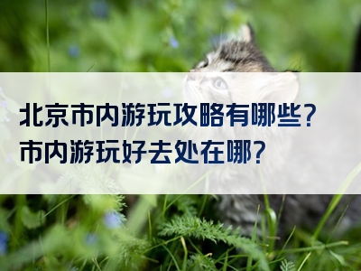 北京市内游玩攻略有哪些？市内游玩好去处在哪？