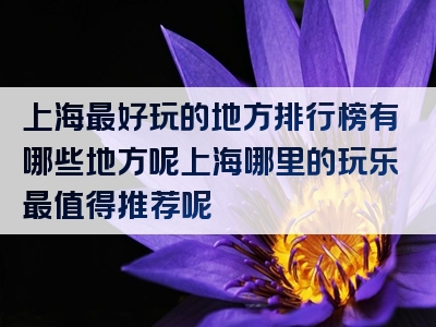 上海最好玩的地方排行榜有哪些地方呢上海哪里的玩乐最值得推荐呢