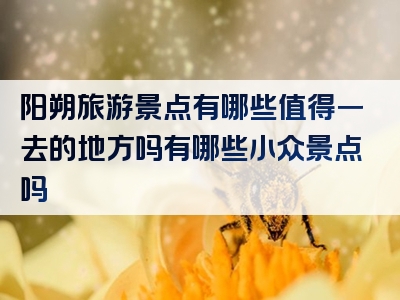阳朔旅游景点有哪些值得一去的地方吗有哪些小众景点吗