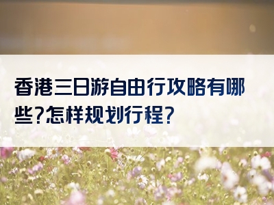 香港三日游自由行攻略有哪些？怎样规划行程？