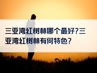 三亚湾红树林哪个最好？三亚湾红树林有何特色？