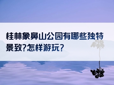 桂林象鼻山公园有哪些独特景致？怎样游玩？